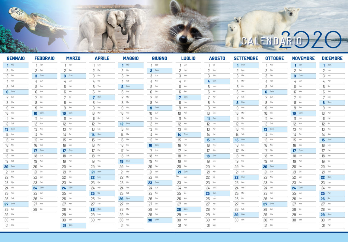 CALENDARIO DA MURO 70X100 ORIZZONTALE - Stampastampa tipografia online  ecommerce